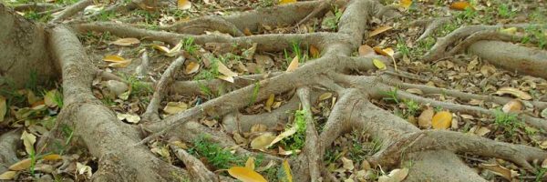 Express Drainage Surveys engineer working