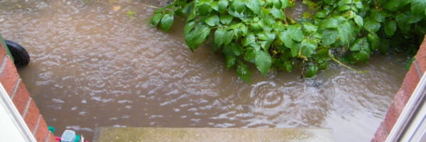 How-to-Improve-Drainage-in-Clay-Soil-Lawn