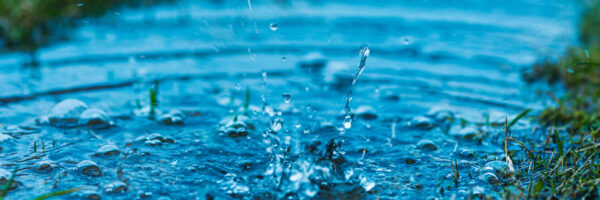 What-Is-a-Sustainable-Drainage-System