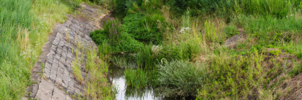 What Is A Drainage Swale?